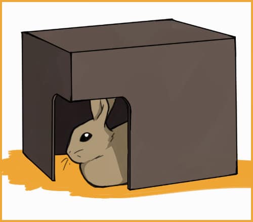 rabbit in a hidey house