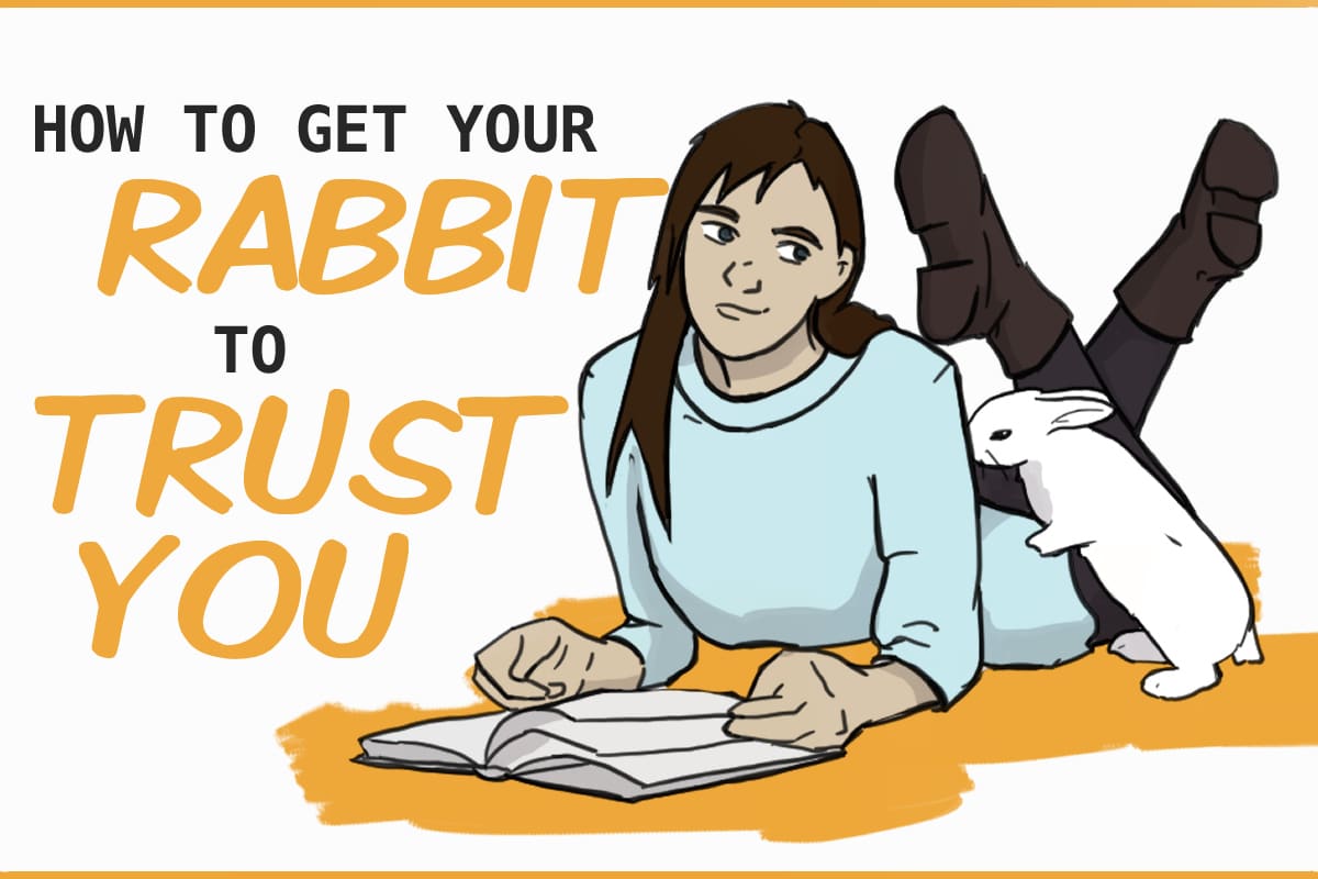 Straightforward strategies to Make Your Rabbit Perception You