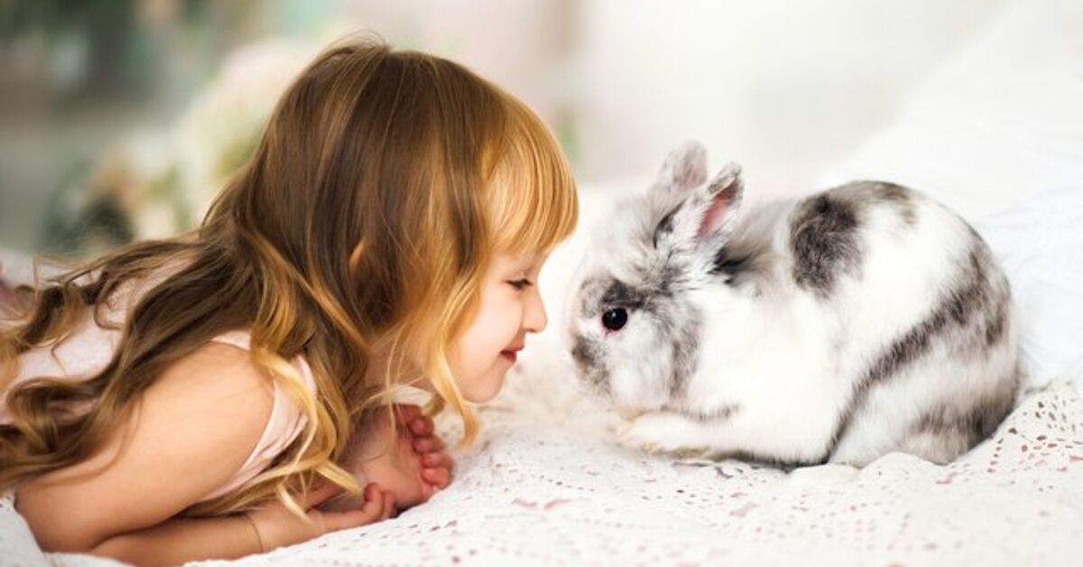 10 Biggest Rabbits for Kids